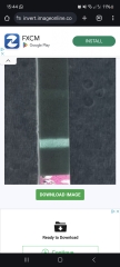 BFP or not