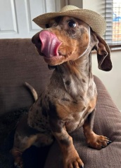 Shall we have a pet thread? Something nice for over the weekend 😁
