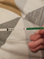 TTC June 2024 ✨♥️