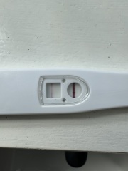 Due February 2025