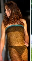 DH, Anita Rani and the see thru dress