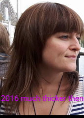 Hairstyle rut (photos)