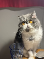 Happy Birthday Penelope!