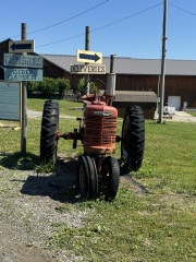 Come and tell me your dull and unexciting news 30: Calmly through the day