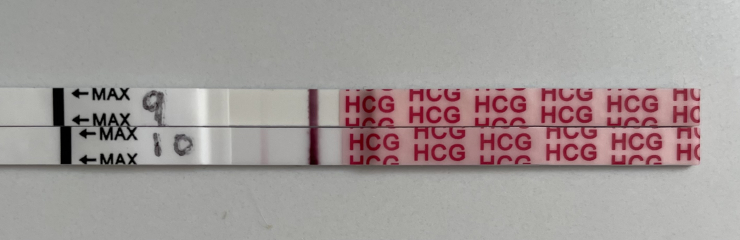 2DPO