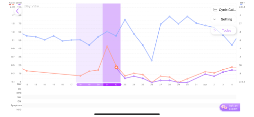 TTC after chemical pregnancy