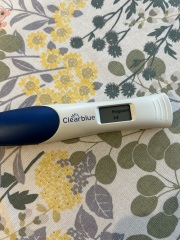 Clear Blue Digital tests