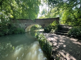 Come chat hiking with me!