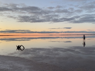 The Great Recovery part 2 - After Cancer treatment what next?