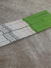 TTC June 2024 ✨♥️