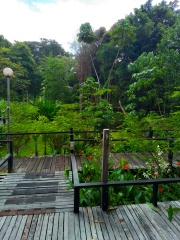 Come and tell me your dull and unexciting news 30: Calmly through the day