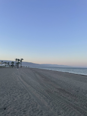 The Great Recovery part 2 - After Cancer treatment what next?