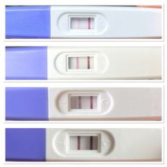 BFP after recent loss