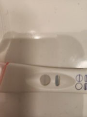Could It Be??