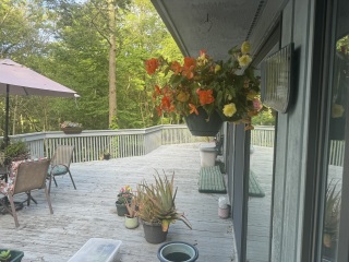 Come and tell me your dull and unexciting news 30: Calmly through the day