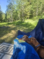 Sunshine, Flowers & Weddings ~ June Flylady thread