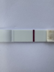 Shadows/ Faint Lines on multiple pregnancy tests