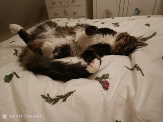 Come and tell me your dull and unexciting news 30: Calmly through the day