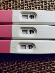 Please help: Unsure whether I am pregnant or nor
