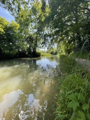 Come chat hiking with me!