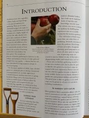 Advice for an allotment beginner