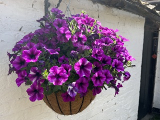 Thread 49 Sunak: He Left them on the beaches