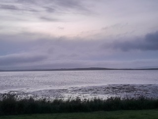 Any Witches here? Part 20