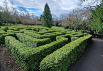 To stop DN going in maze?