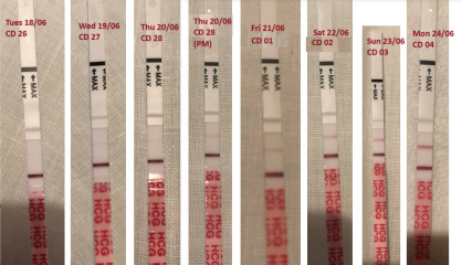 BFP after recent loss