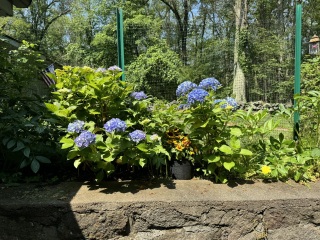 Come and tell me your dull and unexciting news 30: Calmly through the day