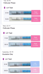 Help when did I ovulate?