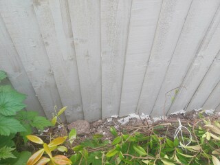 Raised flowerbed against wooden fence
