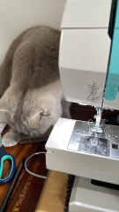 Stitch and bitch thread #9. I have pressing concerns