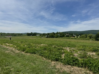 Come and tell me your dull and unexciting news 30: Calmly through the day