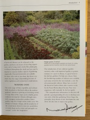 Advice for an allotment beginner