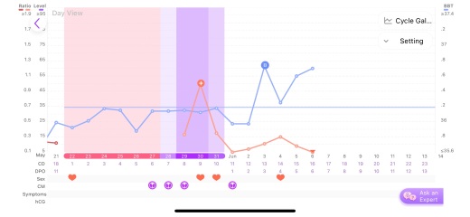 BBT vs OPK or possible anovulation?