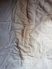 Airbnb host requested £200 reimbursement fee for makeup/fake tan on linen