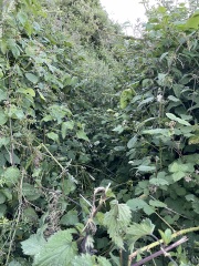 To maintain a farmer’s land myself?