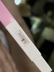 AM I PREGNANT
