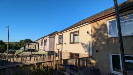 Massive trees next door, blocking the evening sunlight