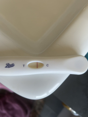 POAS come on you rainbows