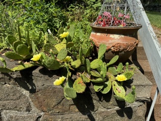 Come and tell me your dull and unexciting news 30: Calmly through the day