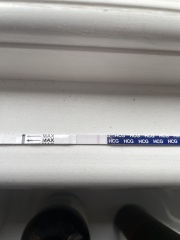Are these pregnancy tests positive?