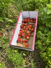 Come and tell me your dull and unexciting news 30: Calmly through the day