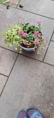 Please help me with my pots