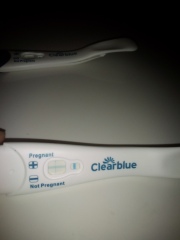 Clear blue test. Evap line or positive