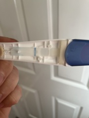 Taken a clear blue apart and see this help!!