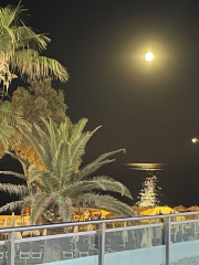 The Great Recovery part 2 - After Cancer treatment what next?