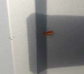 Ukraine Invasion: Part 50