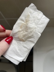 Mucus Plug